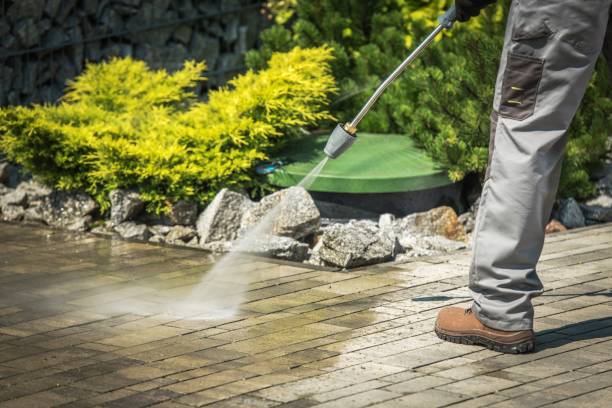 Boat and Dock Cleaning in Okeechobee, FL