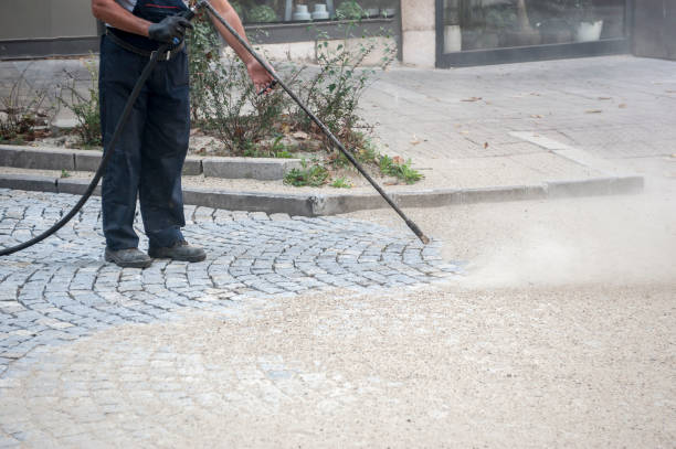 Best Animal Enclosure Cleaning  in Okeechobee, FL