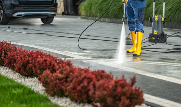 Best Fence Cleaning  in Okeechobee, FL